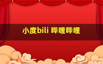 小度bili 哔哩哔哩